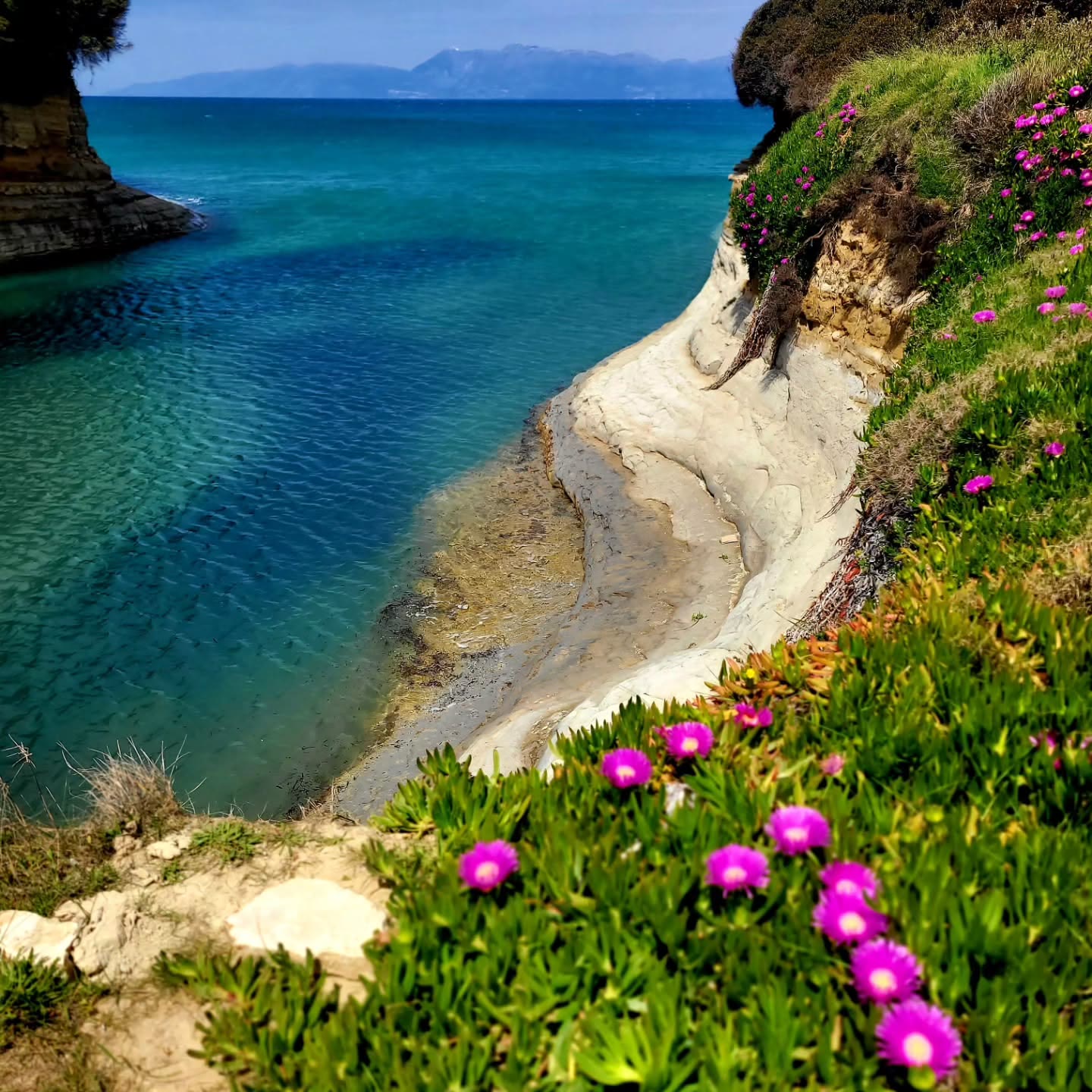 Türkise Bucht auf Korfu mit hellen Felsen und blühenden Mittagsblumen am Hang